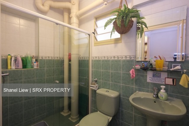 Blk 117 Edgefield Plains (Punggol), HDB Executive #206346081